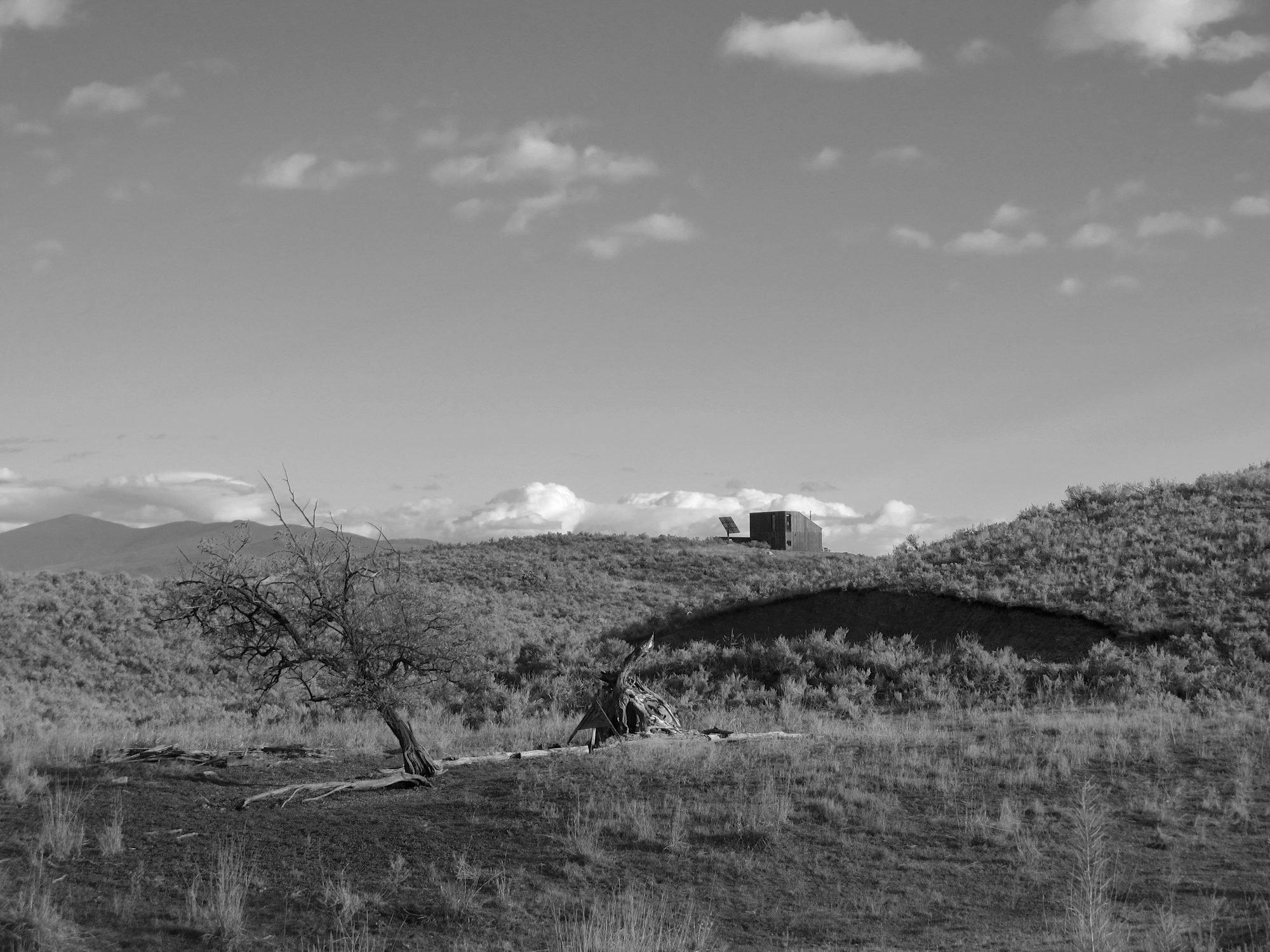 Black and white photograph of the bare hilltop and a lone tree